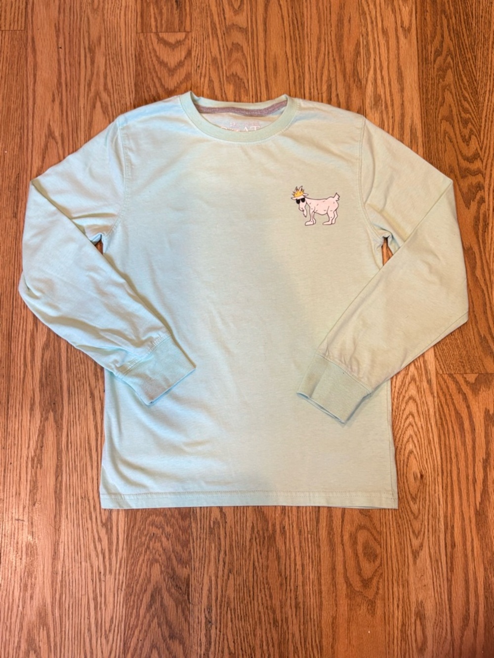 GOAT USA Youth Long Sleeve Tee | Mint Green | Size Large (14-16)